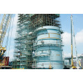 https://www.bossgoo.com/product-detail/tower-reactor-for-ethylene-plant-aromatics-59385696.html